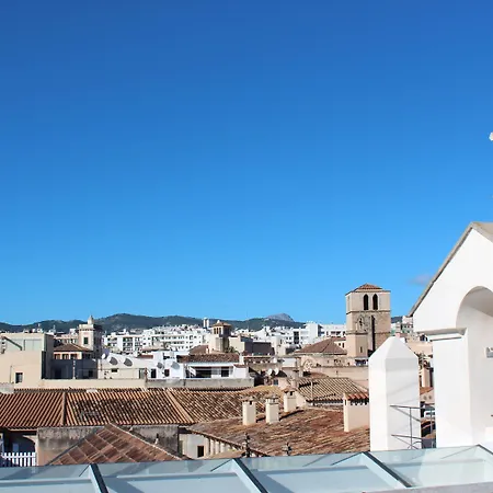 Icon Roseto-2